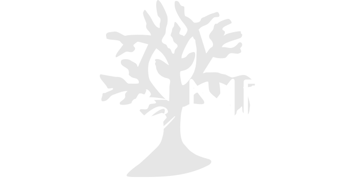 Logo santaMED